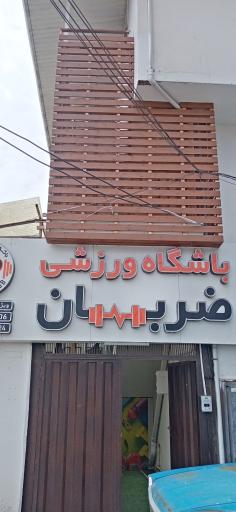 عکس باشگاه ضربان