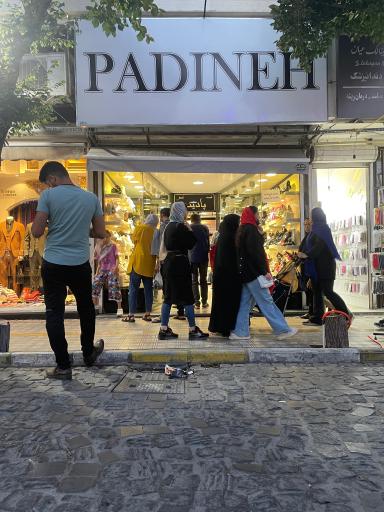 عکس کفش پادینه