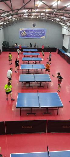 عکس آکادمی تنیس روی میز نراقی