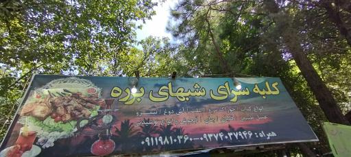 عکس کافه رستوران شب‌های برره 