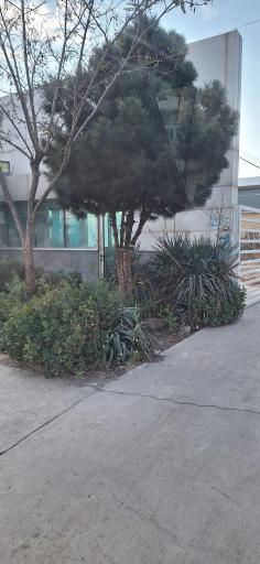 عکس شرکت آلوم گستر