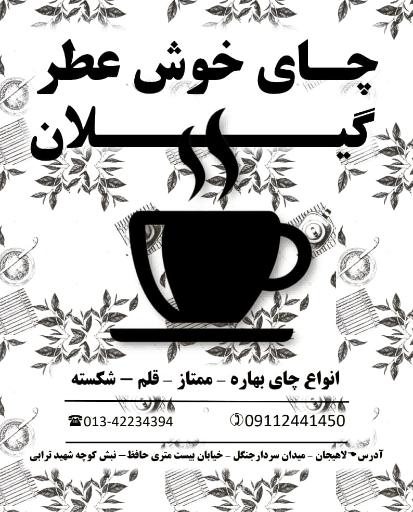 عکس چای خوش عطر گیلان