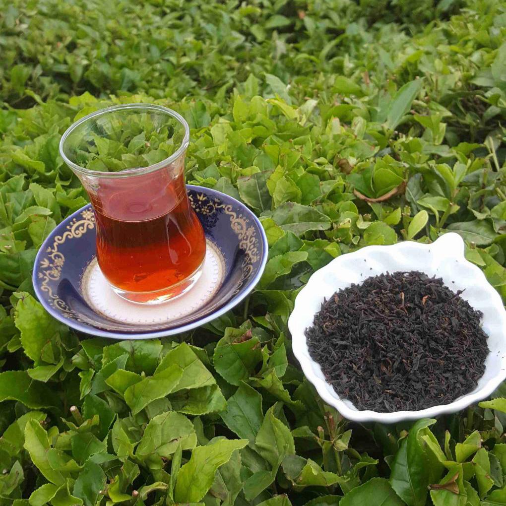 عکس چای خوش عطر گیلان