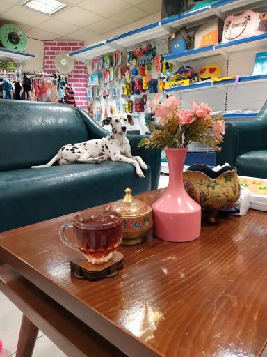 عکس پت شاپ من و تو