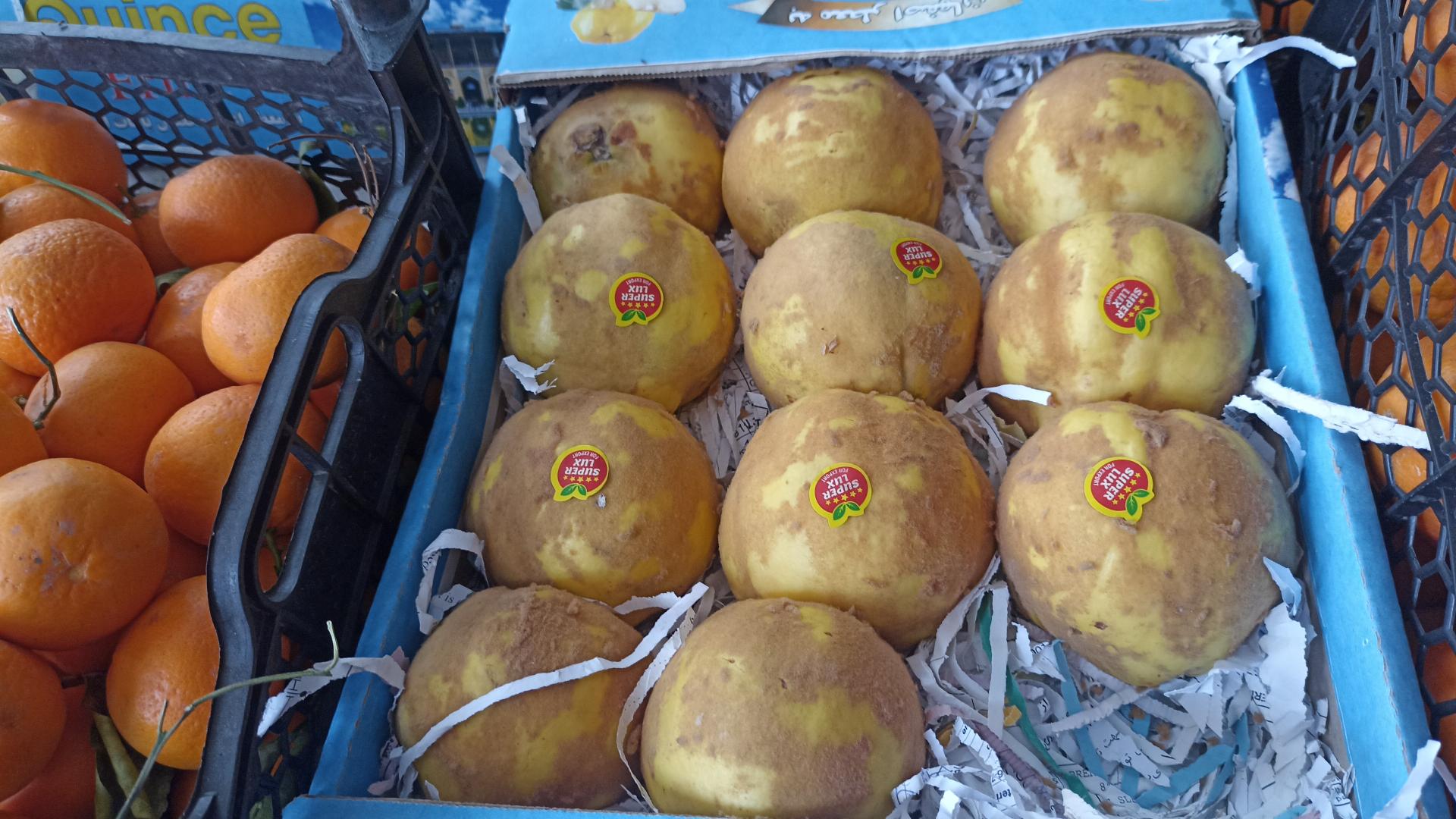 عکس میوه فروشی محسن