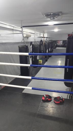 عکس باشگاه بوکس مهدی هاشمی