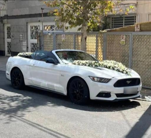 اجاره خودرو ستاره 