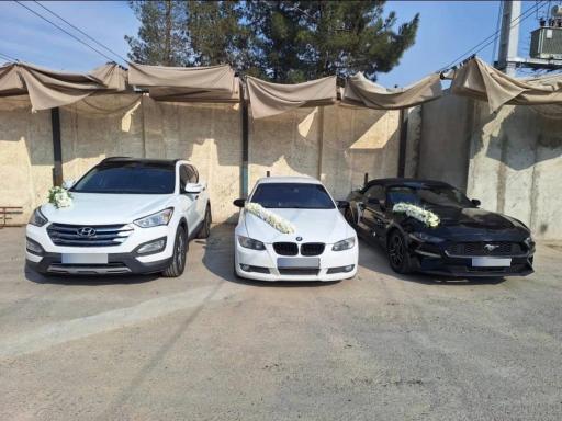 اجاره خودرو ستاره 