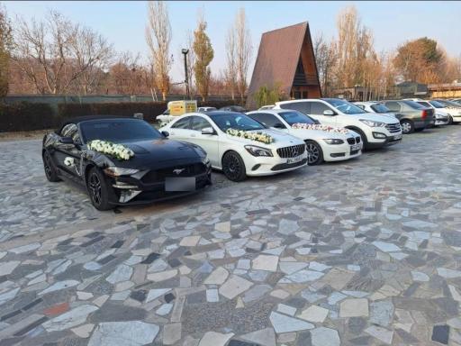 اجاره خودرو ستاره 