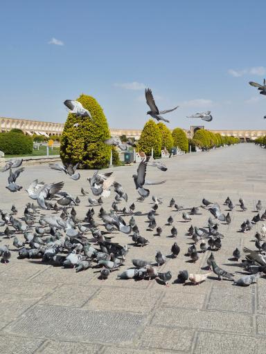 عکس میدان نقش جهان