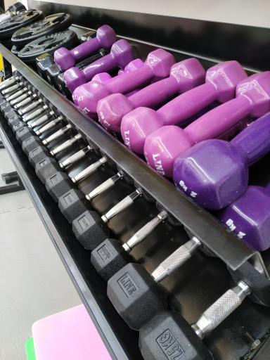 عکس باشگاه تخصصی ورزشی بامَد