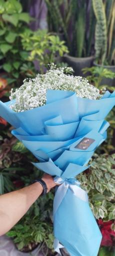 عکس گلفروشی گل بازی