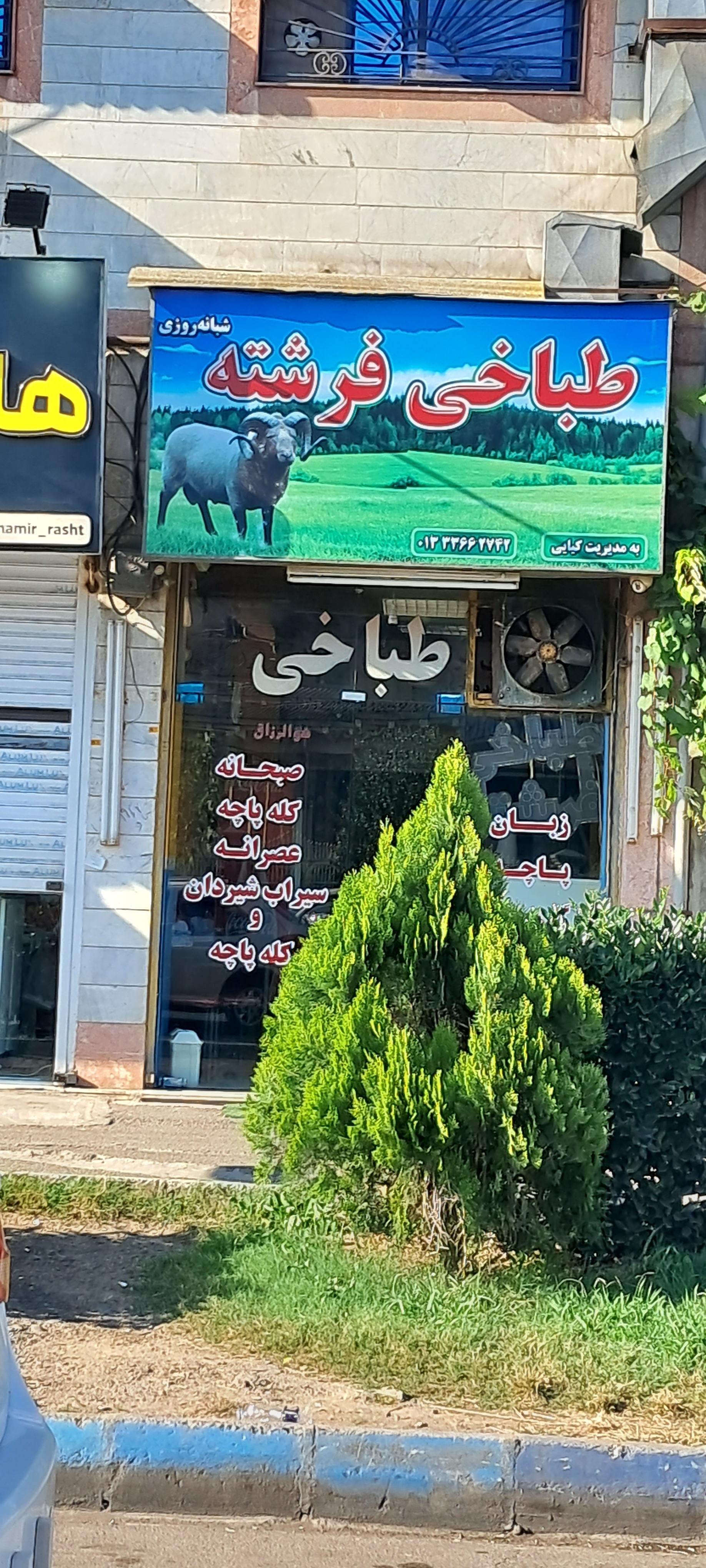 عکس طباخی فرشته