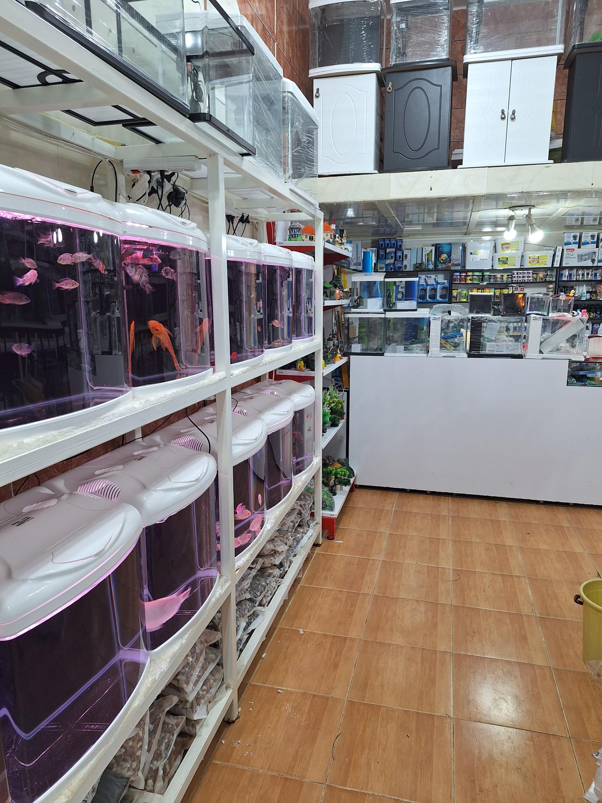 عکس آکواریوم Dezfish