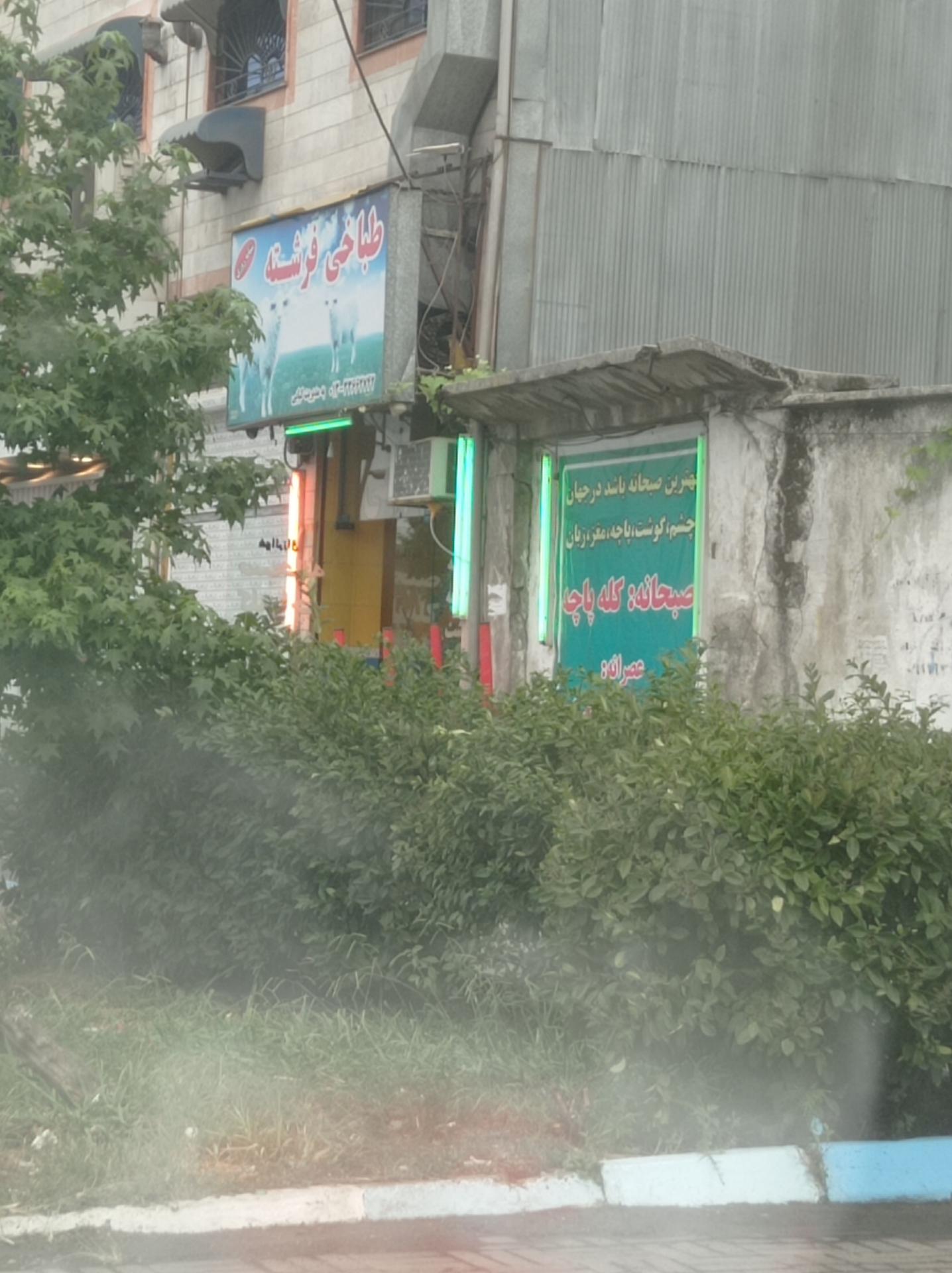 عکس طباخی فرشته