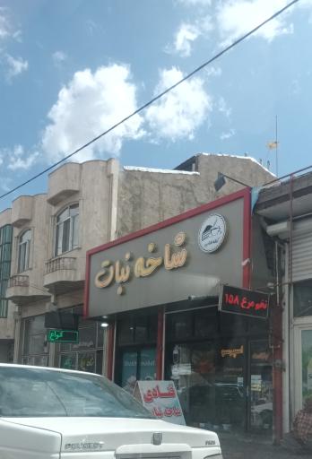 عکس کافه قنادی شاخه نبات