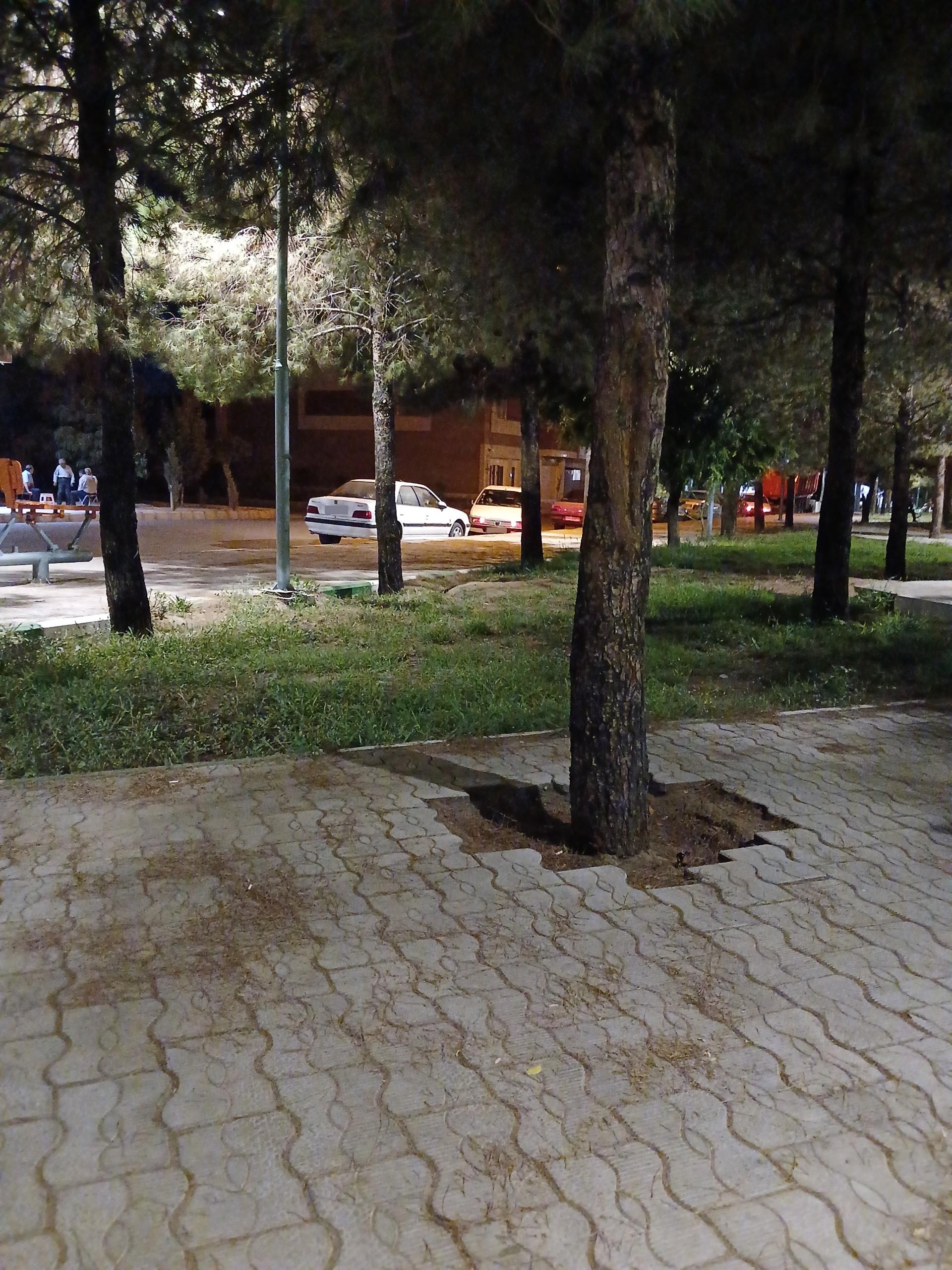 عکس پارک لادن سمنگان