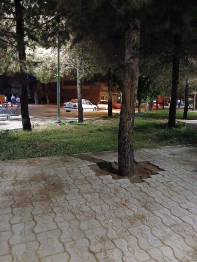 عکس پارک لادن سمنگان