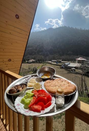 عکس کلبه بلوط