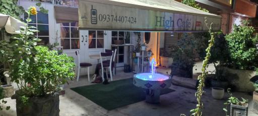 عکس های کافه