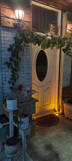 عکس های کافه