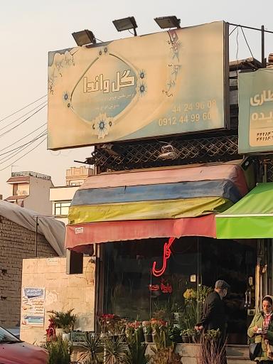 عکس گل واندا