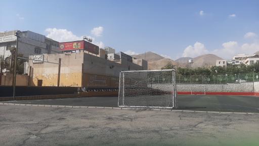 عکس زمین چمن مصنوعی پیمان