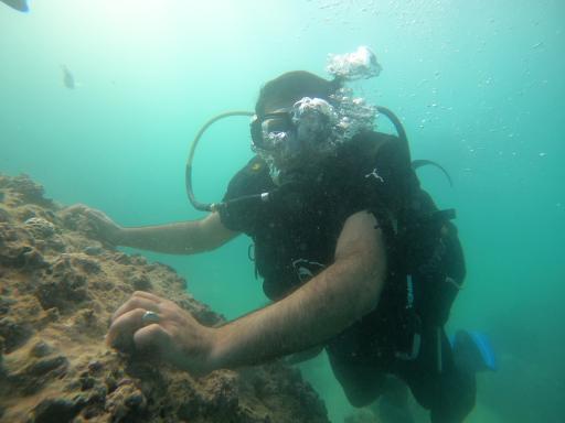 کلوپ کشتی یونانی