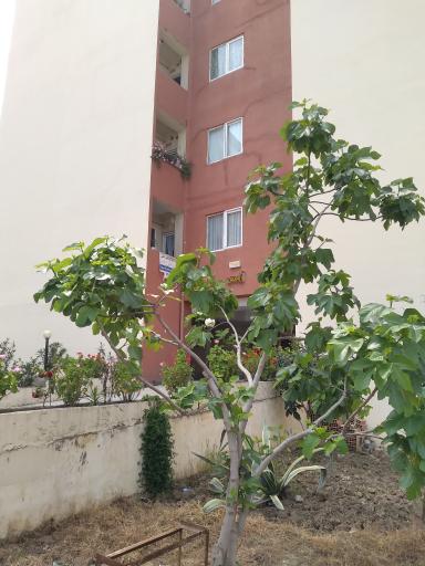 عکس بلوک ۴ آرامیس