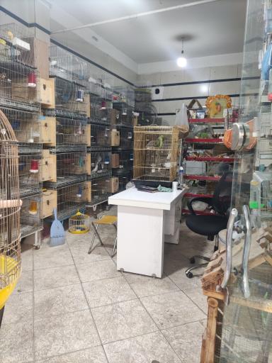 عکس پرنده فروشی