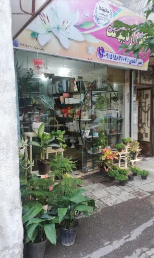 عکس گلکده اردیبهشت