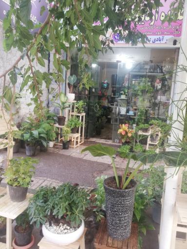 عکس گلکده اردیبهشت