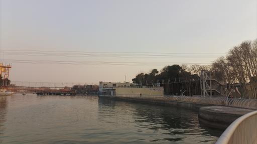 عکس دریاچه پارک ارم