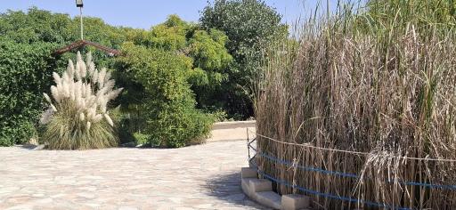 عکس باغ پرندگان صدف