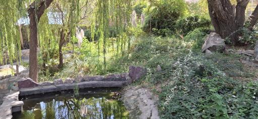 عکس باغ پرندگان صدف