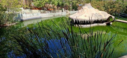 عکس باغ پرندگان صدف