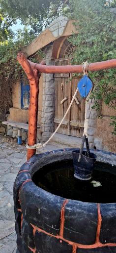 عکس باغ پرندگان صدف