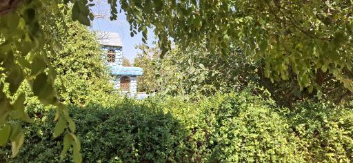 عکس باغ پرندگان صدف