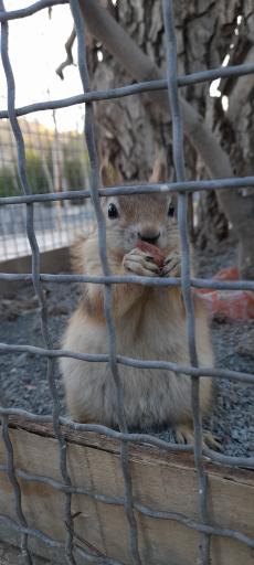 عکس باغ پرندگان صدف