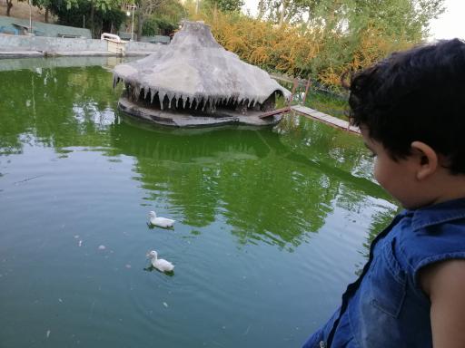 عکس باغ پرندگان صدف