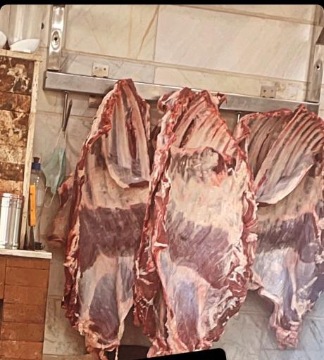 عکس جگرکی ظفر