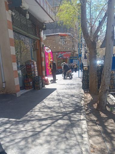 عکس میوه سرای مهدی