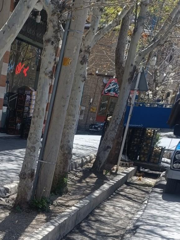 عکس میوه سرای مهدی