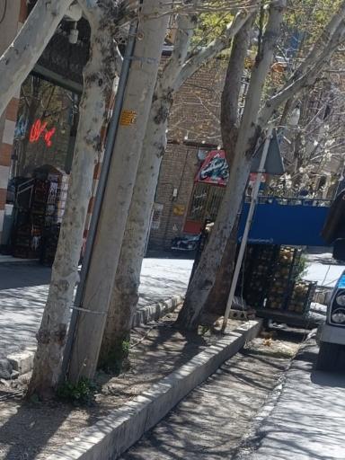 عکس میوه سرای مهدی