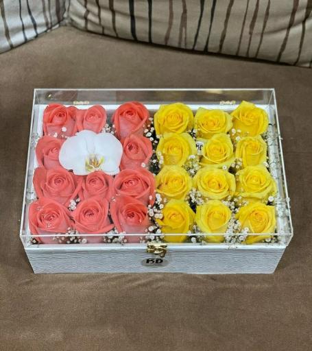 عکس گل ملودی