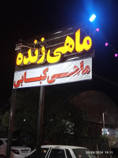 ماهی زنده 