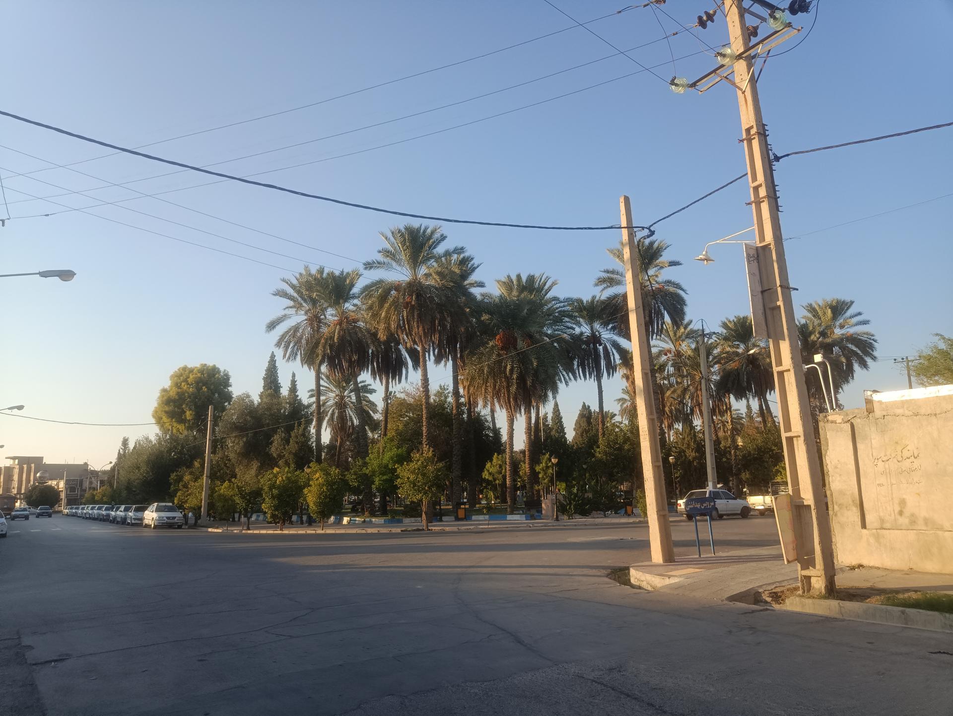 عکس بوستان باغ ملی