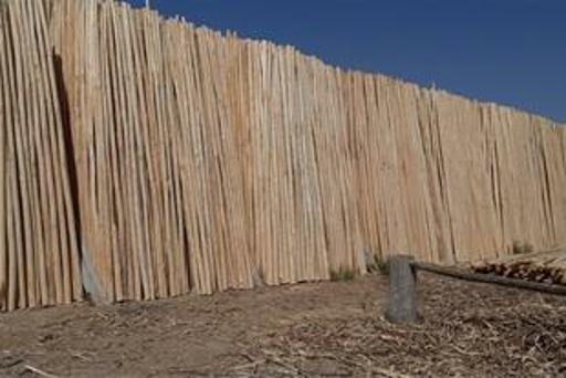 عکس چوب فروشی علی محمدی