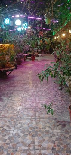 عکس رستوران سنتی ایرونی