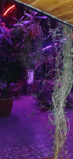 عکس رستوران سنتی ایرونی